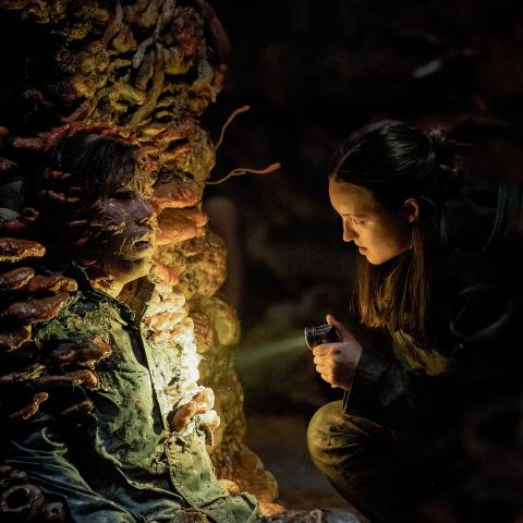 مسلسل The Last Of Us الحلقة الخامسة - مصدر الصورة شاهد