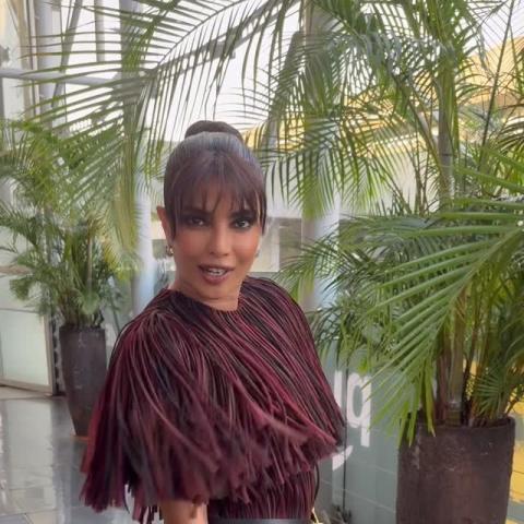 بريانكا شوبرا بفستان الشراشيب من بربري في العرض الأول لفيلم &quot;Heads of State&quot;