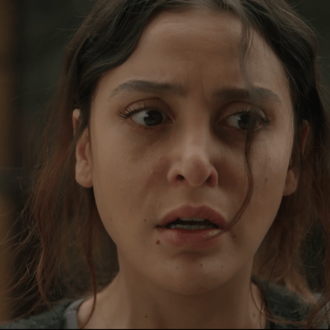 مسلسل سلمى الحلقة 20 - مسلسل امرأة التركي - مصدر الصورة شاهد