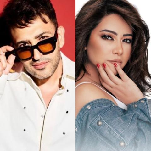 شيرين عبد الوهاب وتامر حسين