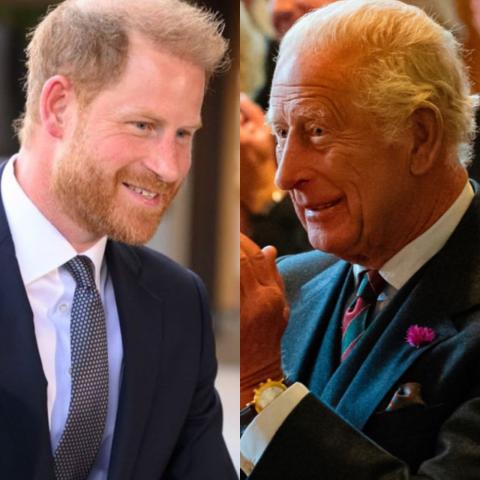 الملك تشارلز والأمير هاري - إكس