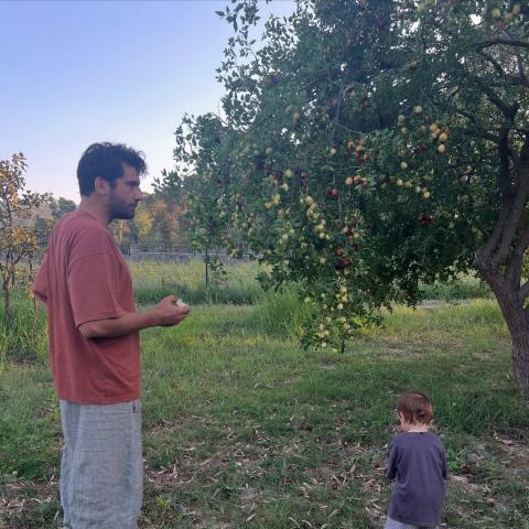 كان أورغانجي أوغلو