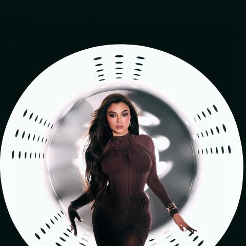 هيفاء وهبي - صورة من انستقرام