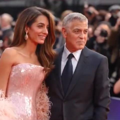 جورج كلوني وأمل علم الدين - إكس