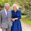 الملك تشارلز وزوجته كاميلا الملكة القرينة  - صورة من حساب The Royal Family على إكس