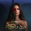 علاقة عاطفية تدمر حياة زينة في مسلسل ورد وشوكولاتة