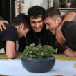 مسلسل إسطنبول رأسا على عقب الحلقة 11 - مصدر الصورة غوغل